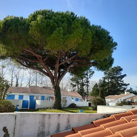 Charmante Maison Avec Piscine Chauffee A 1300m De La A - Fr-1-323-363